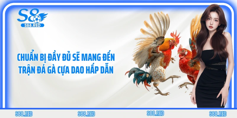Chuẩn bị đầy đủ sẽ mang đến trận đá gà cựa dao hấp dẫn