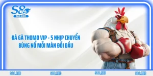 Đá Gà Thomo VIP - 5 Nhịp Chuyển Bùng Nổ Mỗi Màn Đối Đầu