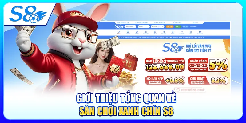 Giới thiệu tổng quan về sân chơi xanh chín S8