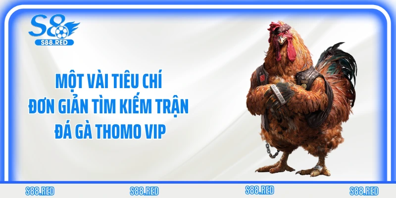 Một vài tiêu chí đơn giản tìm kiếm trận đá gà Thomo VIP
