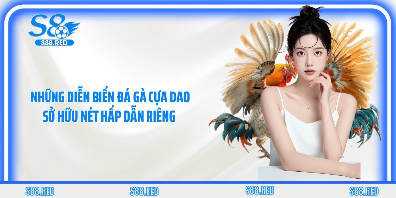 Những diễn biến đá gà cựa dao sở hữu nét hấp dẫn riêng